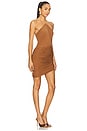 view 2 of 4 Delphine Dress in Tobacco