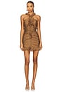 view 1 of 4 Ria Dress in Praline