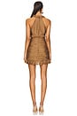 view 4 of 4 Ria Dress in Praline