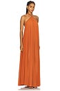 view 2 of 3 Crystal Dress in Rust