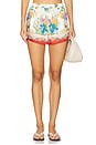 view 1 of 6 Gabi Short in Muneca Floral Scarf