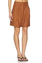 view 2 of 6 Andora Shorts in Rust