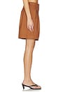 view 3 of 6 Andora Shorts in Rust