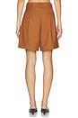 view 4 of 6 Andora Shorts in Rust