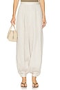view 2 of 6 Apolo Pant in Natural