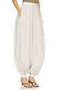 view 3 of 6 Apolo Pant in Natural