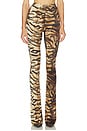 view 1 of 6 Alexander Pant in Tigers Eye