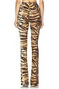 view 4 of 6 Alexander Pant in Tigers Eye