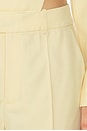 view 6 of 6 Rowley Pant in Banana