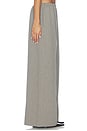 view 5 of 7 Moni Pant in Grey Stripe