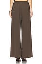 view 4 of 6 Moni Pant in Desert