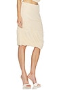 view 2 of 7 Alory Skirt in Ivory