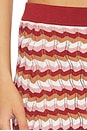 view 6 of 6 FALDA PUNTO DRAKE in Rust Combo