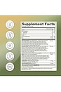 view 7 of 6 COMPLEMENTO GREENS + SUPERFOODS  in Peach Mango