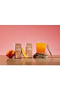 view 6 of 6 COMPLEMENTO WAKE ENERGY + METABOLISM SUPPORT in Peach Mango