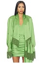 view 1 of 4 Long Sleeve Fringe Top in Green