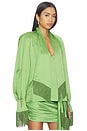 view 2 of 4 Long Sleeve Fringe Top in Green