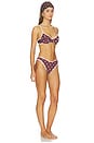 view 2 of 4 Bikini Printed Lycra in Brown Polka Dots