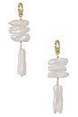 view 1 of 1 The Pearl Branch Drop Earrings in Ivory
