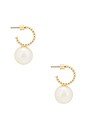view 2 of 3 Swan Hoop Earrings in Shiny Gold & Ivory