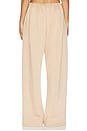 view 4 of 6 Scuba Lounge Pant in Tan
