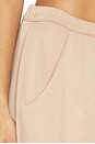 view 6 of 6 Scuba Lounge Pant in Tan