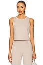 view 1 of 4 Ponte Knit Tank Top in Clay