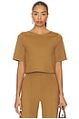 view 1 of 4 Ponte Knit Short Sleeve Top in Camel