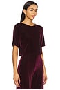 view 2 of 4 Velvet Short Sleeve Top in Merlot