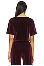 view 3 of 4 Velvet Short Sleeve Top in Merlot