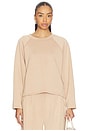 view 1 of 4 Oversized Raglan Top in Tan