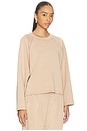 view 2 of 4 Oversized Raglan Top in Tan