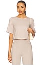view 1 of 4 Ponte Knit Short Sleeve Top in Clay