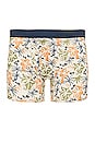 view 1 of 2 Tropical Boxer in Bone