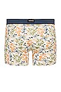 view 2 of 2 Tropical Boxer in Bone