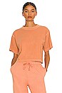 view 1 of 4 Relaxed Crop Tee in Clay
