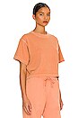 view 2 of 4 Relaxed Crop Tee in Clay