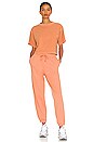 view 4 of 4 Relaxed Crop Tee in Clay