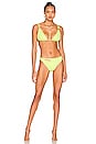 view 4 of 4 TOP BIKINI NIKKI in Key Lime Snake