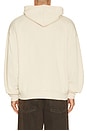 view 2 of 5 Taz Chenile Patch Po Hoodie in Khaki