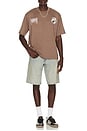 view 3 of 5 Popeye Tee in Brown