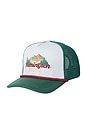 view 1 of 1 Dalton Trucker Hat in Green