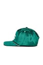 view 3 of 3 Joker Satin Hat in Green