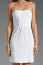 view 5 of 6 Eyelet Strapless Dress in White