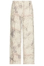 view 1 of 5 Armadillo Print Pants in Armadillo
