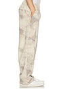 view 4 of 5 Armadillo Print Pants in Armadillo