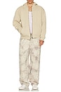view 5 of 5 Armadillo Print Pants in Armadillo