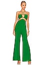 view 1 of 3 Amoura Jumpsuit in Green