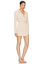 view 2 of 4 Anissa Shirt Dress in Nude