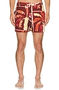 view 4 of 5 Amalfi Boardshort in Arlo